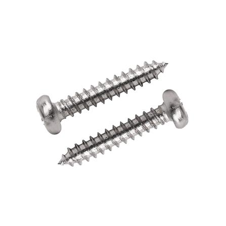 สกรูเกลียวปล่อย TP DEXZON 4X5/8 นิ้ว 25 ตัว