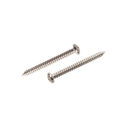 สกรูเกลียวปล่อย TP DEXZON 6X1-1/2 นิ้ว 25 ตัว