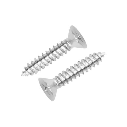 สกรูเกลียวปล่อย TF DEXZON 10X1 นิ้ว 25 ตัว