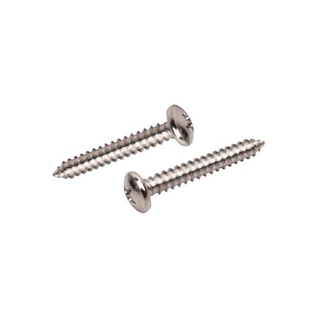 สกรูเกลียวปล่อย TP DEXZON 10X1-1/4 นิ้ว 25 ตัว