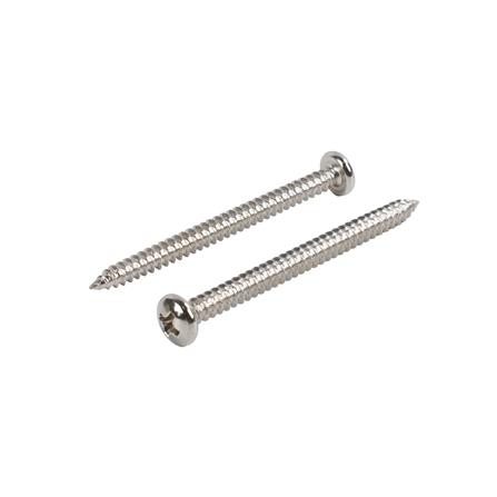 สกรูเกลียวปล่อย TP DEXZON 8X2 นิ้ว แพ็ก 15 ชิ้น