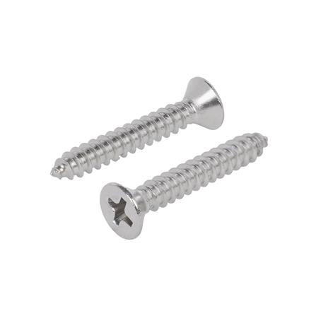 สกรูปลายสว่าน TF DEXZON 7x1 นิ้ว (แพ็ก 25 ชิ้น)