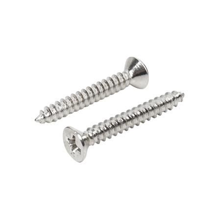 สกรูเกลียวปล่อย TF DEXZON 6X1 นิ้ว 200 ตัว