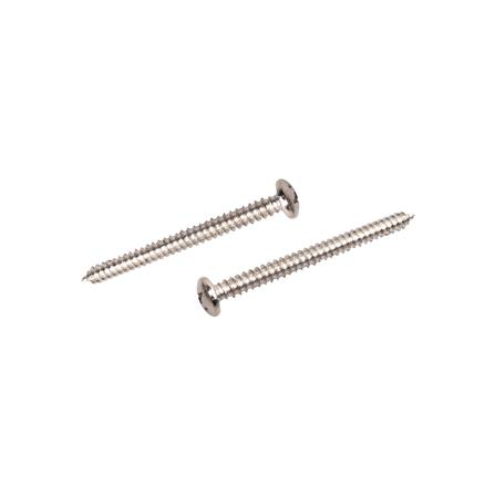 สกรูเกลียวปล่อย TP DEXZON 12X2-1/2 นิ้ว 15 ตัว