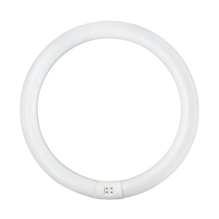 หลอดนีออนกลม PHILIPS TLE 32/54 สีขาว G10q