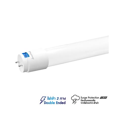หลอด LED สั้น RACER T8 TUBE HIGH LUMEN PREMIUM SAFE PLUS 10 วัตต์ DAYLIGHT G13