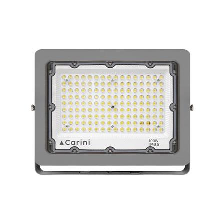 สปอตไลท์ภายนอก LED CARINI NYSP100W 100 วัตต์ DAYLIGHT
