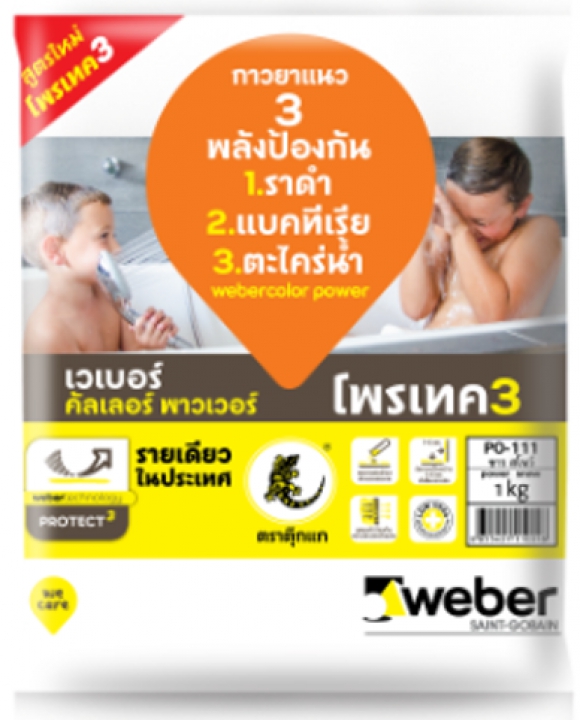 เวเบอร์คัลเลอร์ พาวเวอร์ 1 kg 3 พลังป้องกัน แบคทีเรีย ราดำ ตะไคร่น้ำ Weber