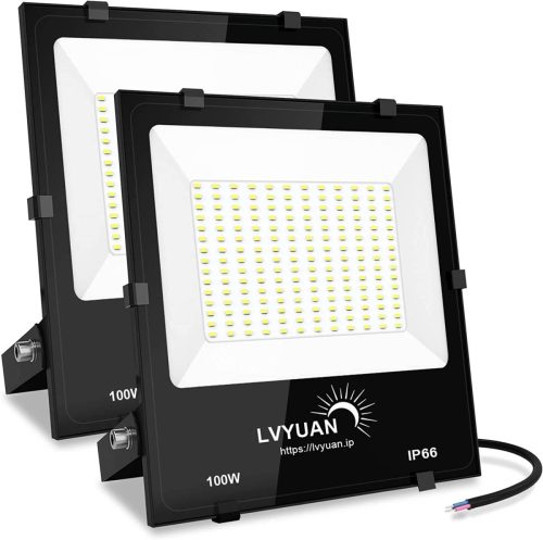 ใหม่ LED Floodlight 2 ชิ้น 100W 12000ML กันน้ำ 6500K Daylight แผงป้องกันภัยพิบัติสินค้าทำงานกลางแจ้ง Camping ความสว่างสูงกลางแจ้ง Yinleader