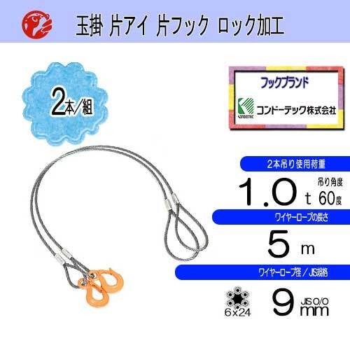 JIS 9MM (3 minutes) x 5M 0.5ตันต่อชิ้นตะขอ 2 อัน SET ราคาถูกจำนวนมากเชือกลวดสำหรับงานสลิงเครน ``มากกว่า 30,000 เยน''
