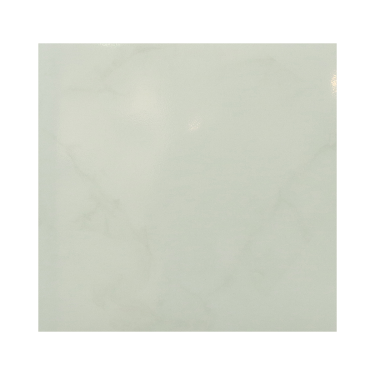 BIRD กระเบื้องพื้น เซรามิค 16 x 16 A รุ่น DNT ลาย นกจูดี้ สีขาว (กล่อง 6)