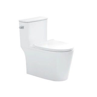 HAFELE สุขภัณฑ์ชิ้นเดียว รุ่น FOREST 495.61.468