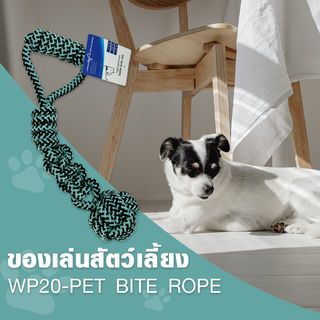 DUDUPETS ของเล่นสัตว์เลี้ยง รุ่นWP20 ขนาด 7X7X38ซม.สีฟ้า