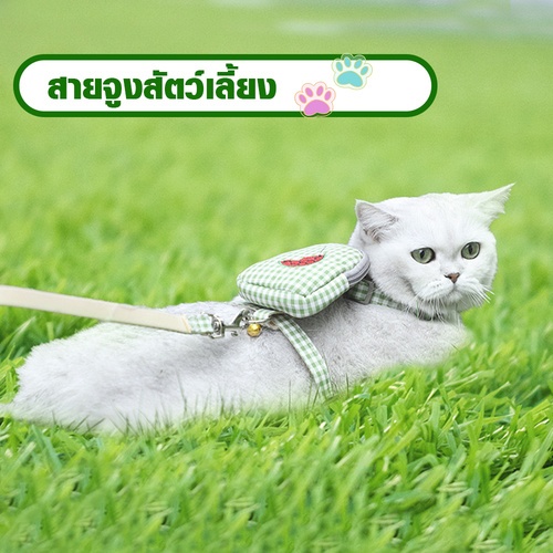 DUDUPETS สายจูงสัตว์เลี้ยง รุ่น S01-Mขนาด9.5X10X120ซม.สีเขียว